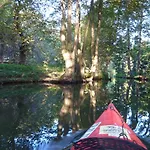 Spreewald Spreeaue