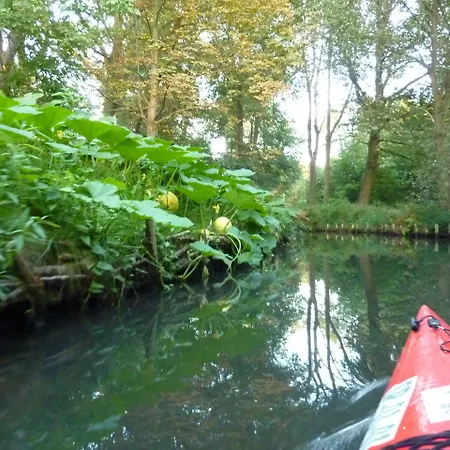 Spreewald Spreeaue Burg (Spreewald)