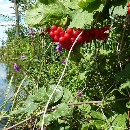 Spreewald Spreeaue 3* Burg (Spreewald)