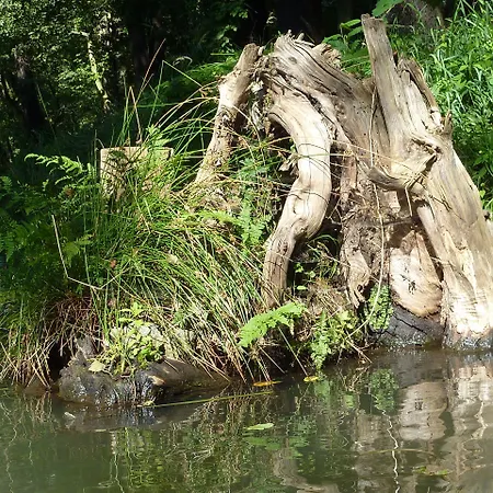 Pensión Spreewald Spreeaue 4*