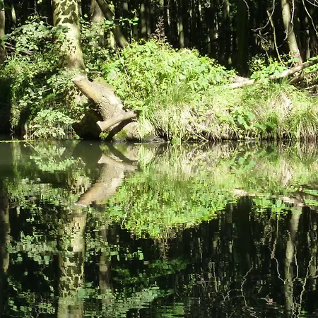 Spreewald Spreeaue