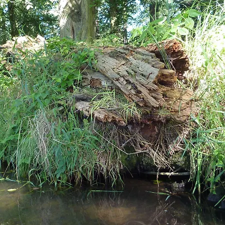 Spreewald Spreeaue Pensión Burg (Spreewald)