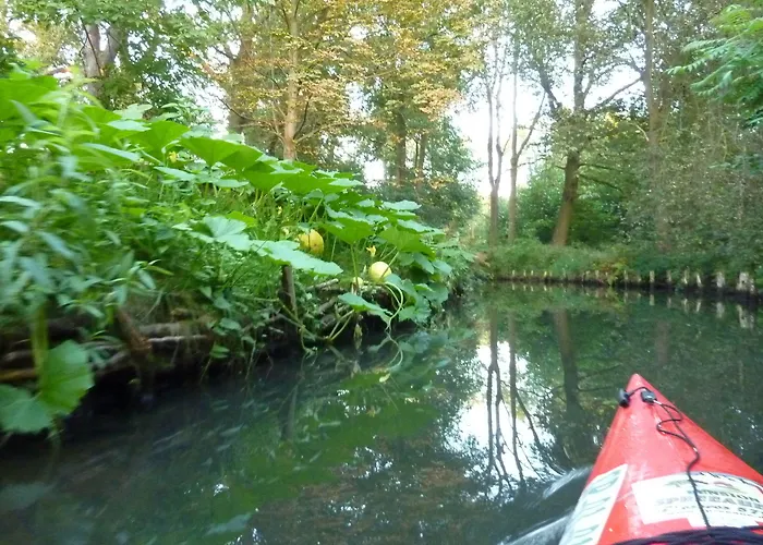 Spreewald Spreeaue Burg (Spreewald)