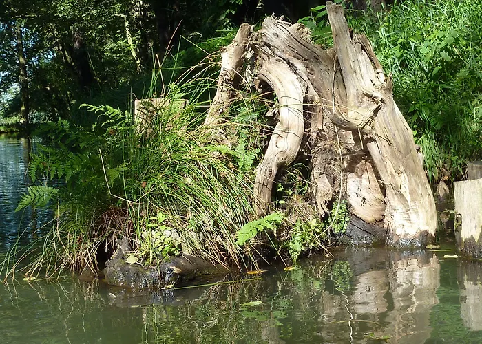 Pensionat Spreewald Spreeaue 3*