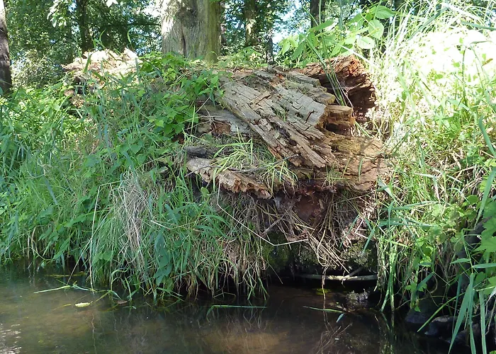 Spreewald Spreeaue Pensionat Burg (Spreewald)