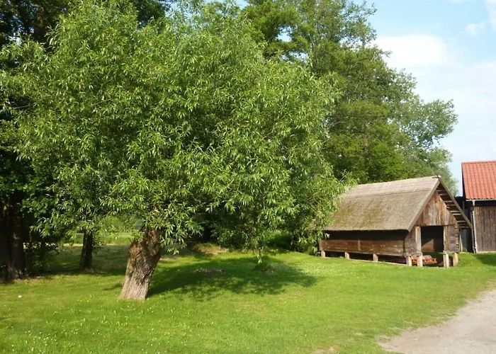 Spreewald Spreeaue Burg (Spreewald)